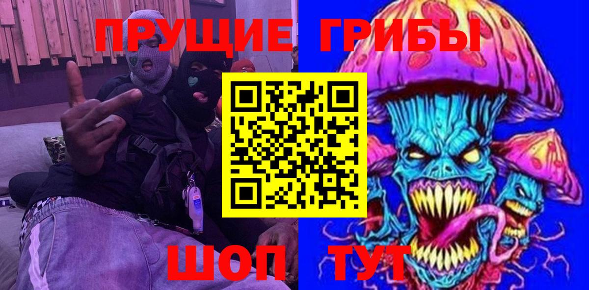 Гусев  Псилоцибиновые грибы Psilocybine cubensis  Вход с VPN  Псилоцибиновые грибы мухоморы 