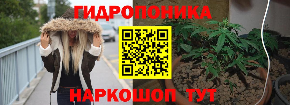 Бошки Шишки сатива Гусев